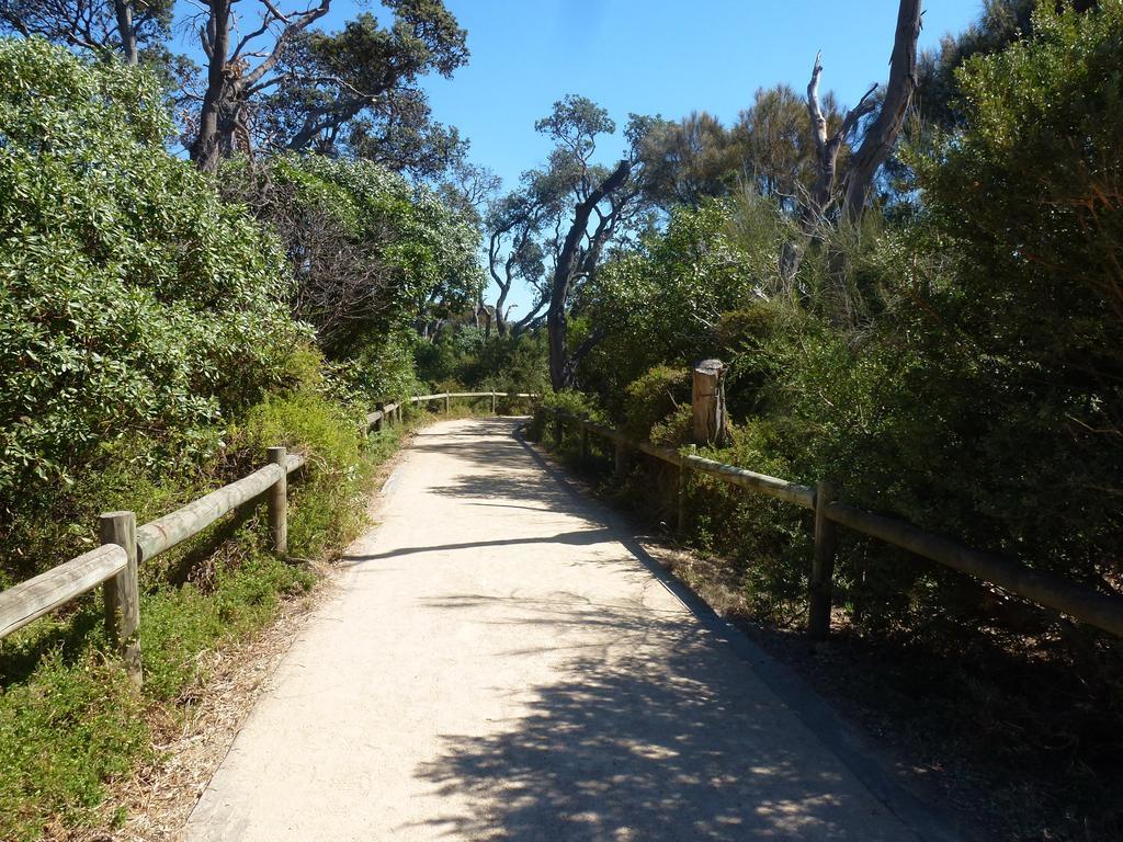 Dromana Beach Getaway Bilik gambar